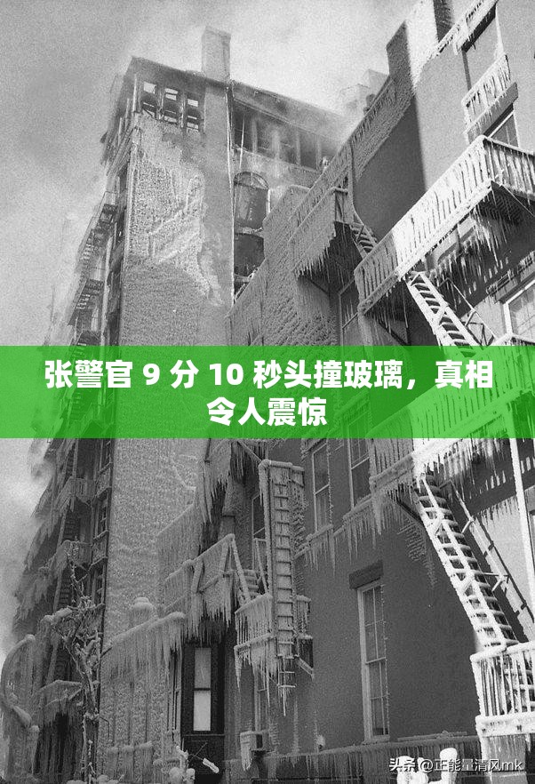 张警官 9 分 10 秒头撞玻璃，真相令人震惊