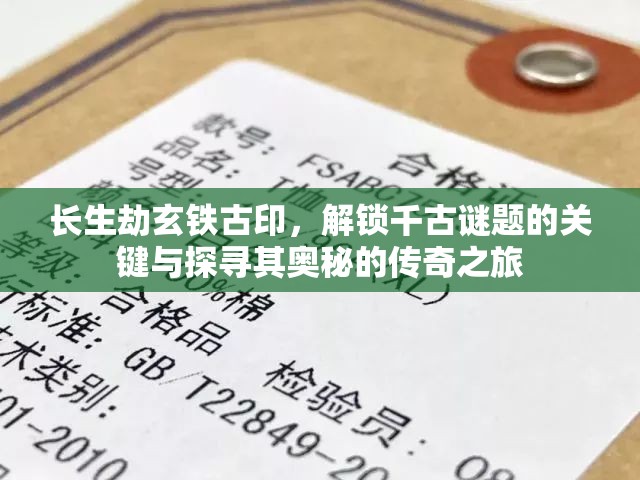 长生劫玄铁古印，解锁千古谜题的关键与探寻其奥秘的传奇之旅