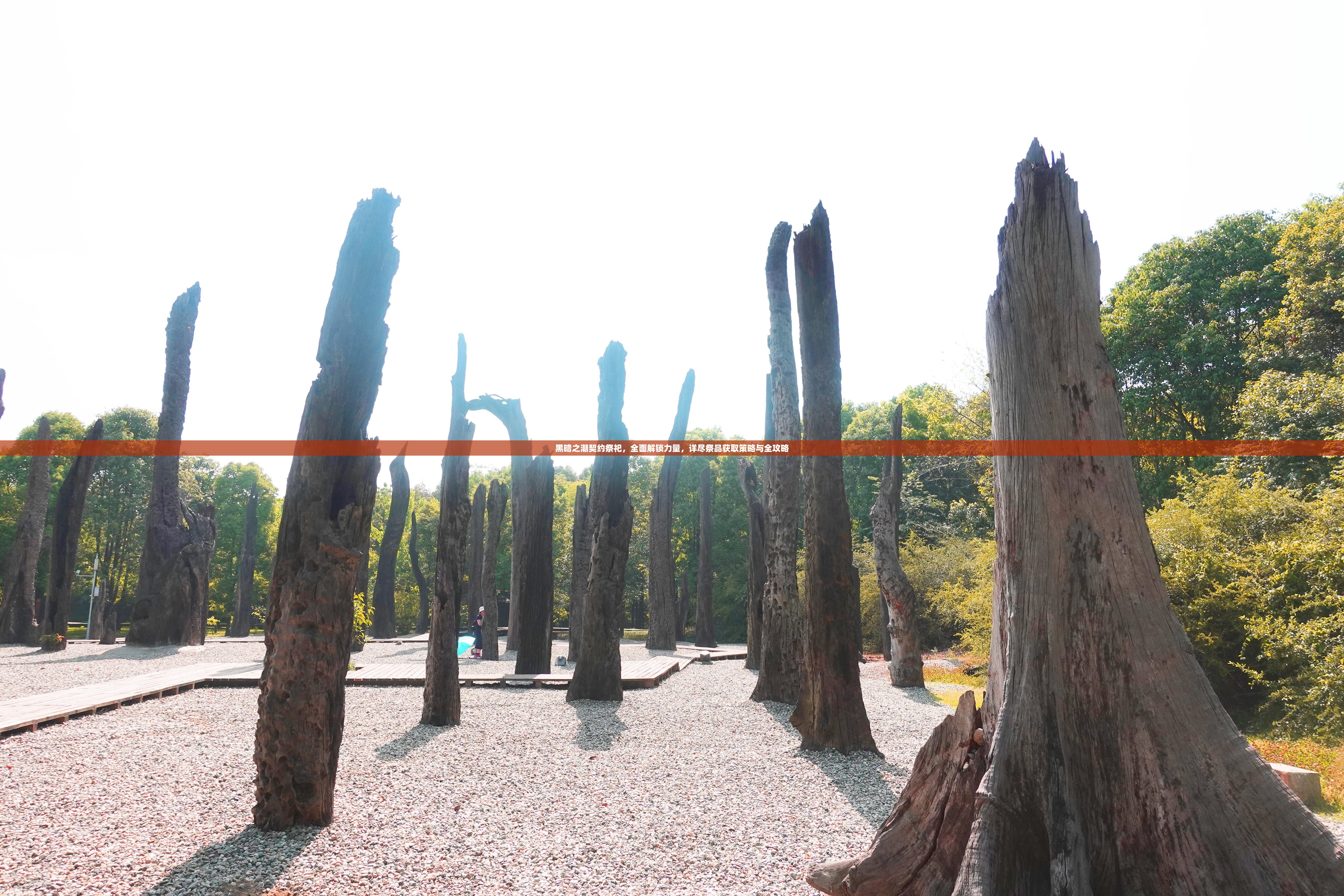 黑暗之潮契约祭祀，全面解锁力量，详尽祭品获取策略与全攻略