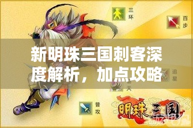 新明珠三国刺客深度解析，加点攻略、战斗艺术与玩法全面揭秘