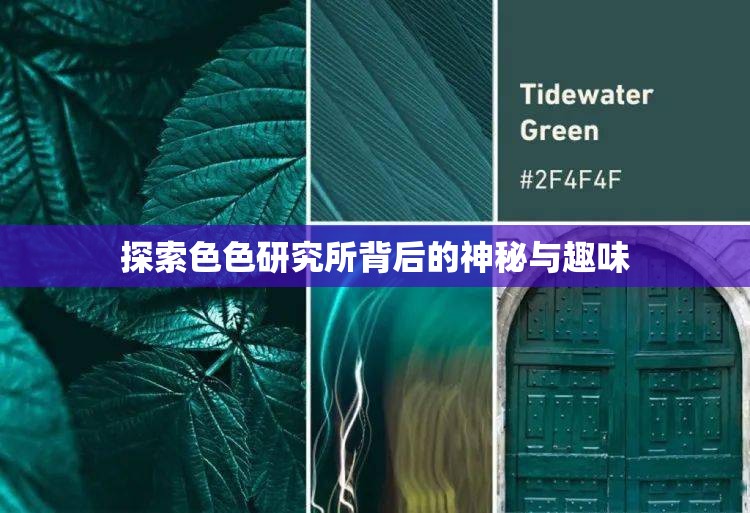 探索色色研究所背后的神秘与趣味