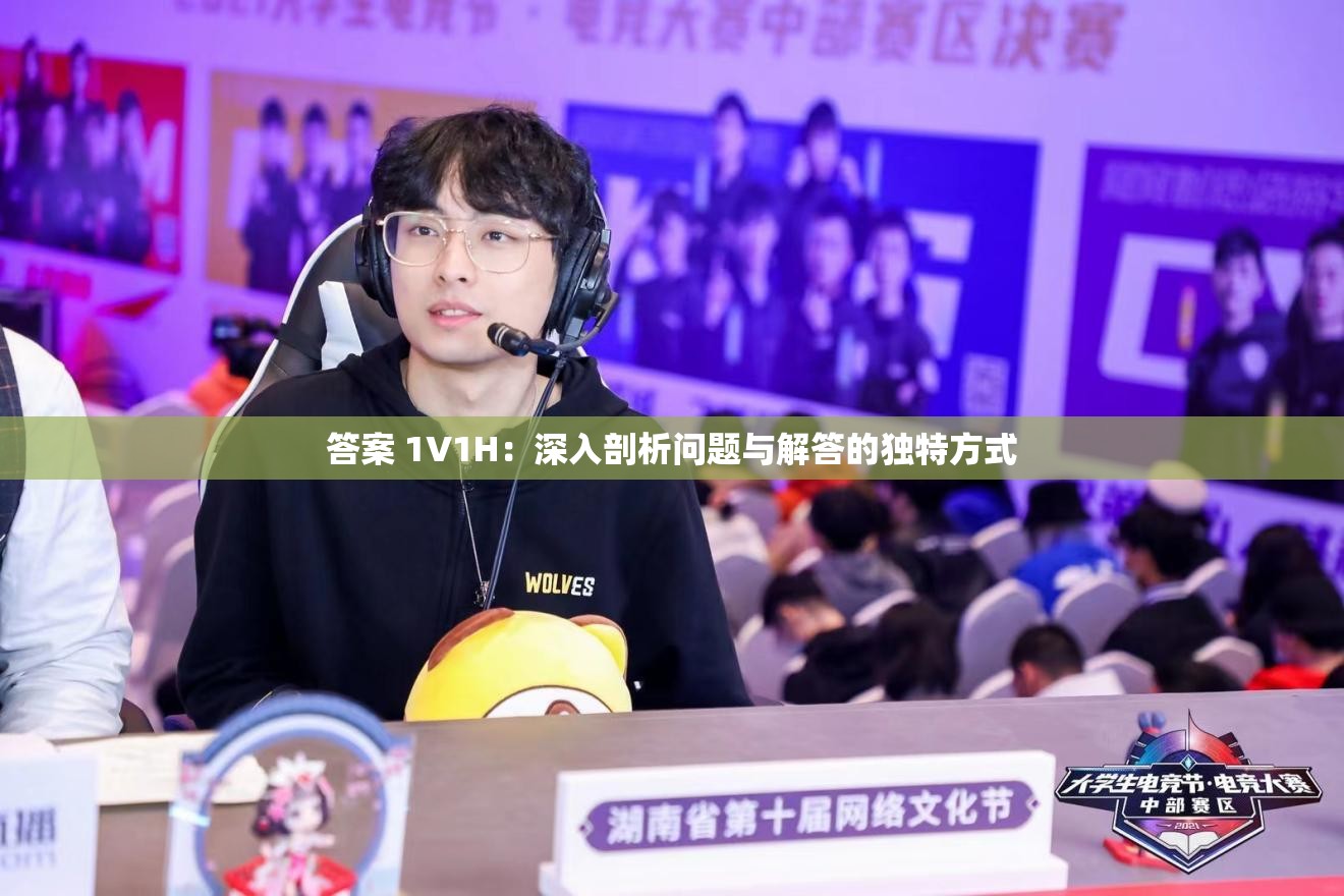 答案 1V1H：深入剖析问题与解答的独特方式
