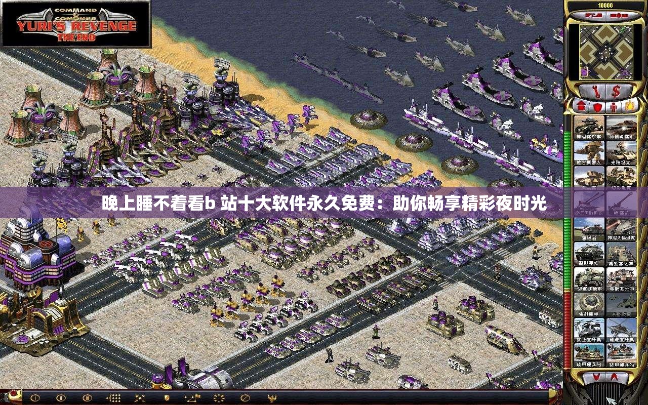 晚上睡不着看b 站十大软件永久免费：助你畅享精彩夜时光