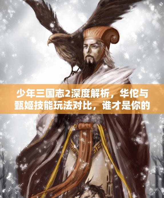 少年三国志2深度解析，华佗与甄姬技能玩法对比，谁才是你的最佳游戏拍档？