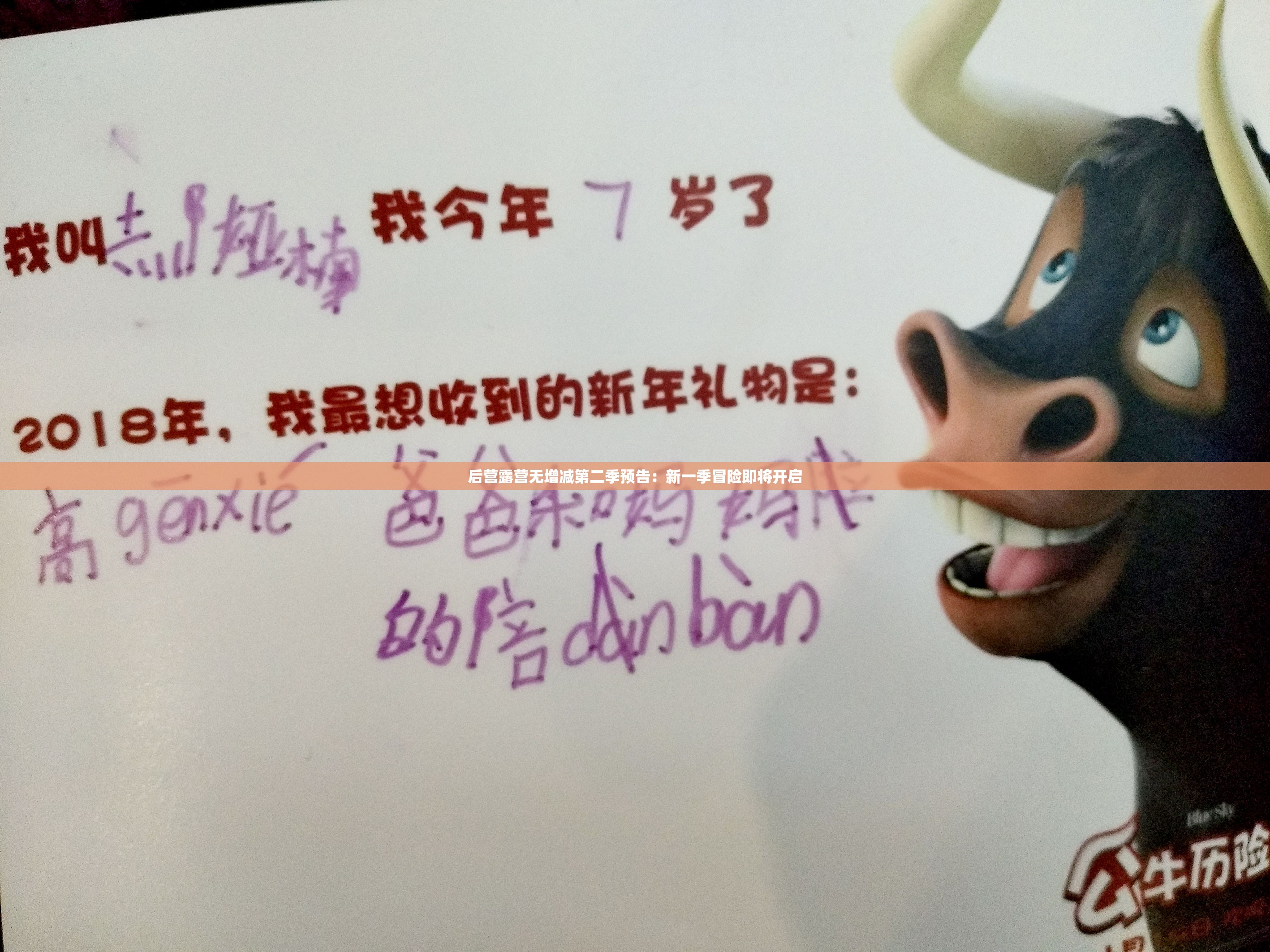 后营露营无增减第二季预告：新一季冒险即将开启