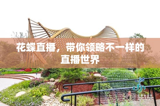 花蝶直播，带你领略不一样的直播世界