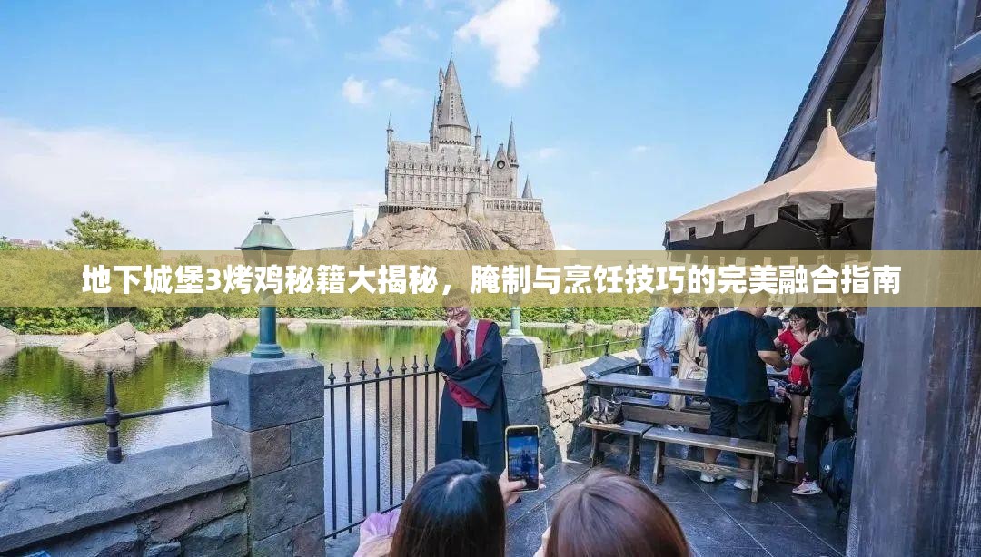 地下城堡3烤鸡秘籍大揭秘，腌制与烹饪技巧的完美融合指南