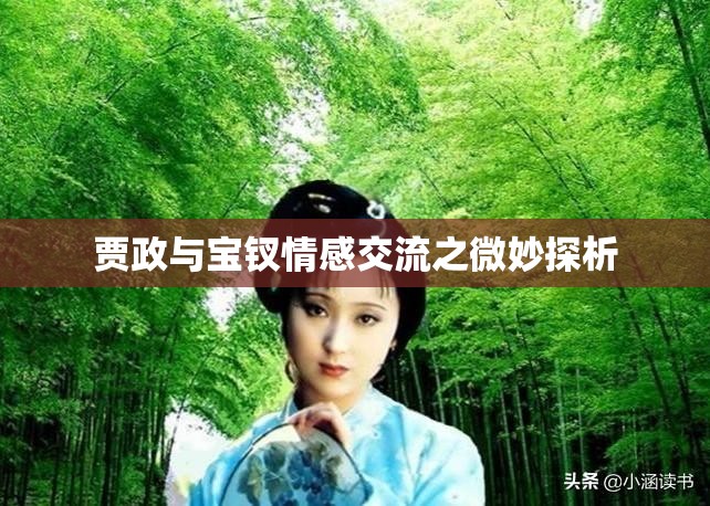 贾政与宝钗情感交流之微妙探析