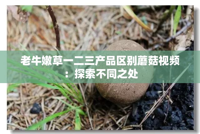 老牛嫩草一二三产品区别蘑菇视频：探索不同之处
