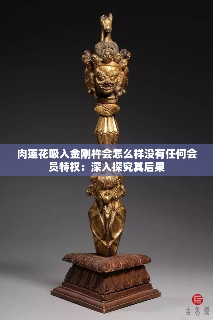 肉莲花吸入金刚杵会怎么样没有任何会员特权：深入探究其后果