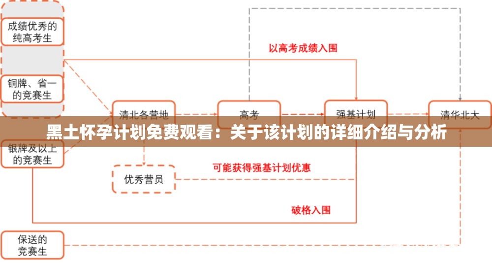 黑土怀孕计划免费观看：关于该计划的详细介绍与分析