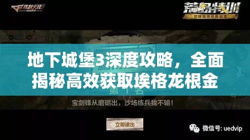 地下城堡3深度攻略，全面揭秘高效获取埃格龙根金币的方法与技巧