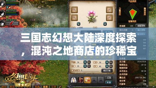 三国志幻想大陆深度探索，混沌之地商店的珍稀宝藏揭秘