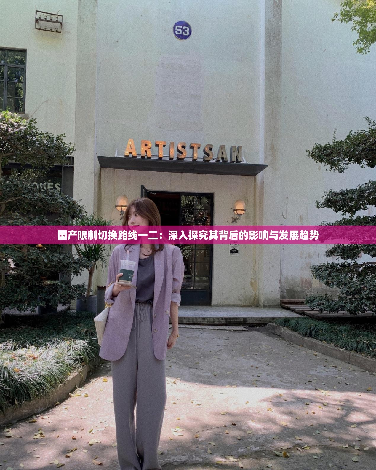 国产限制切换路线一二：深入探究其背后的影响与发展趋势