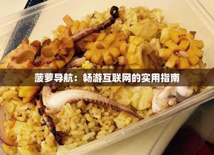 菠萝导航：畅游互联网的实用指南