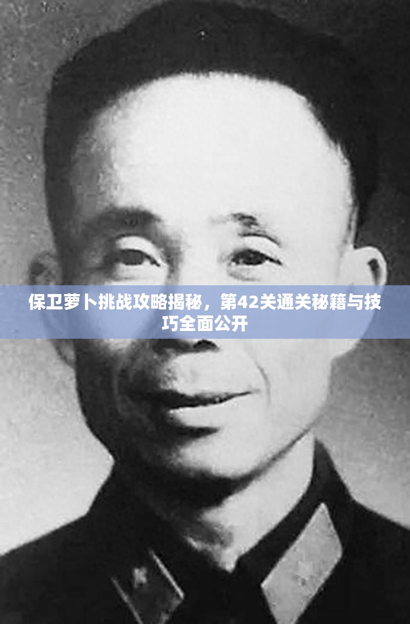 保卫萝卜挑战攻略揭秘，第42关通关秘籍与技巧全面公开