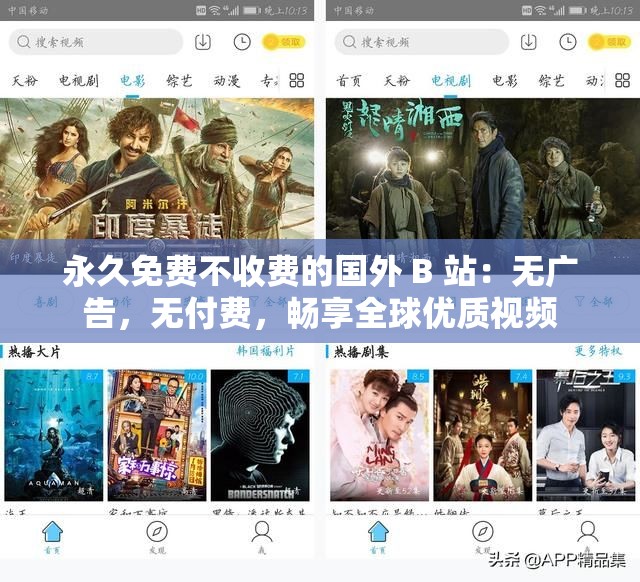 永久免费不收费的国外 B 站：无广告，无付费，畅享全球优质视频