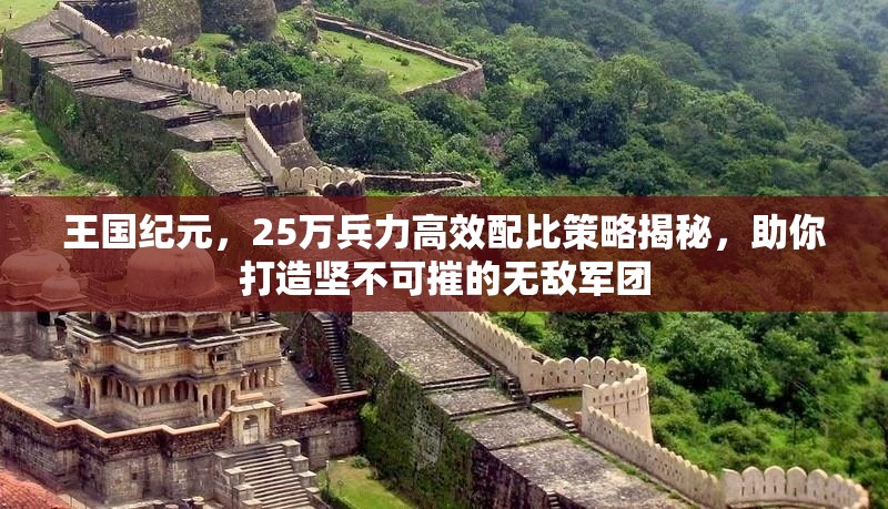 王国纪元，25万兵力高效配比策略揭秘，助你打造坚不可摧的无敌军团