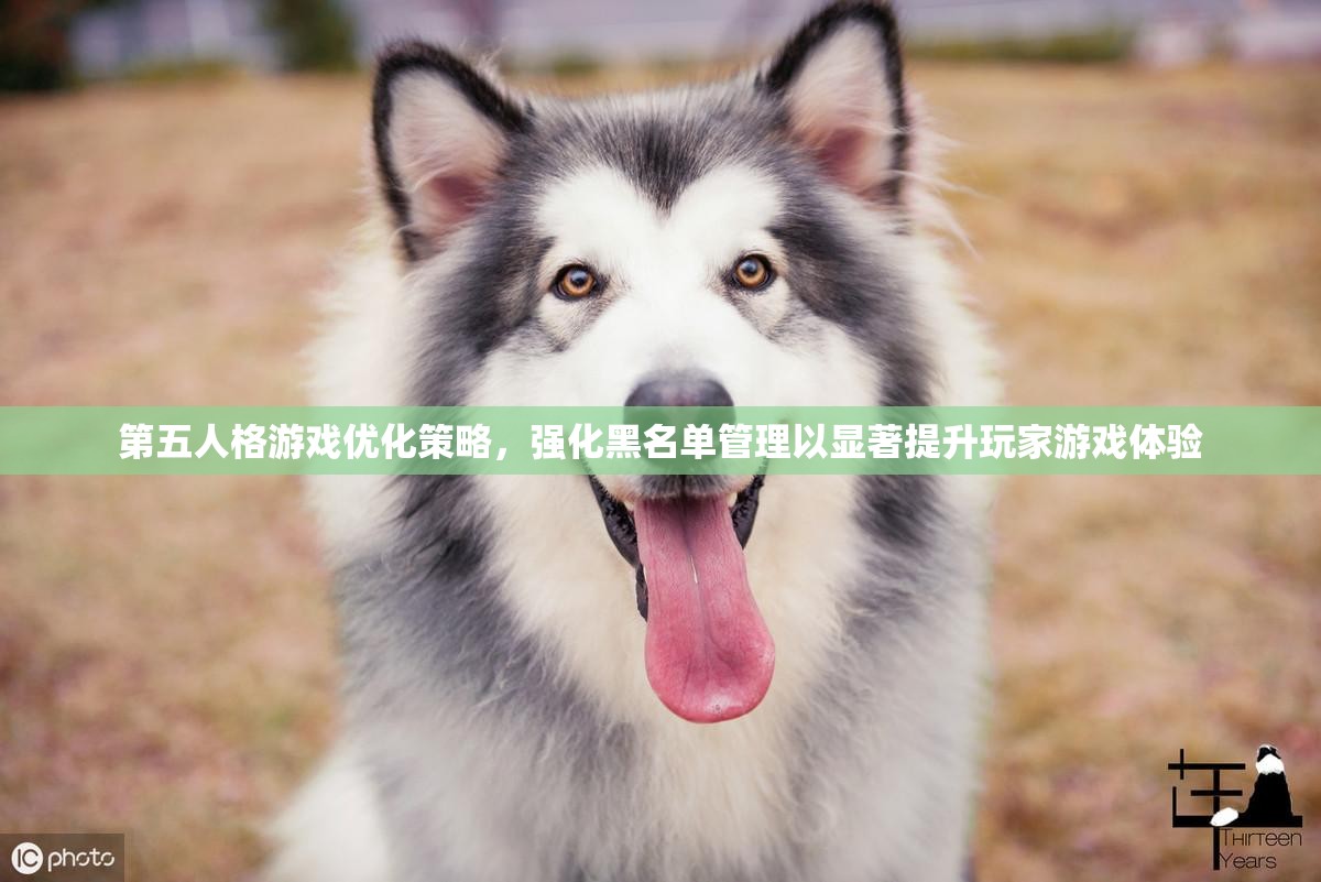 第五人格游戏优化策略，强化黑名单管理以显著提升玩家游戏体验