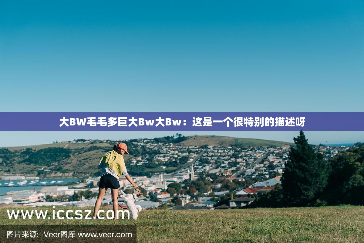 大BW毛毛多巨大Bw大Bw：这是一个很特别的描述呀