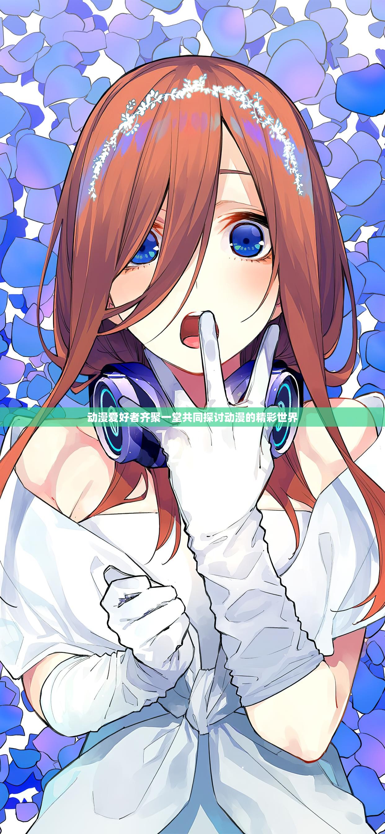 动漫爱好者齐聚一堂共同探讨动漫的精彩世界