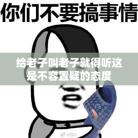 给老子叫老子就得听这是不容置疑的态度