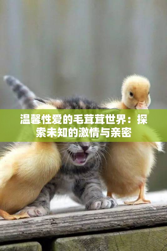 温馨性爱的毛茸茸世界：探索未知的激情与亲密