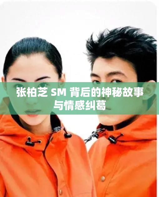 张柏芝 SM 背后的神秘故事与情感纠葛