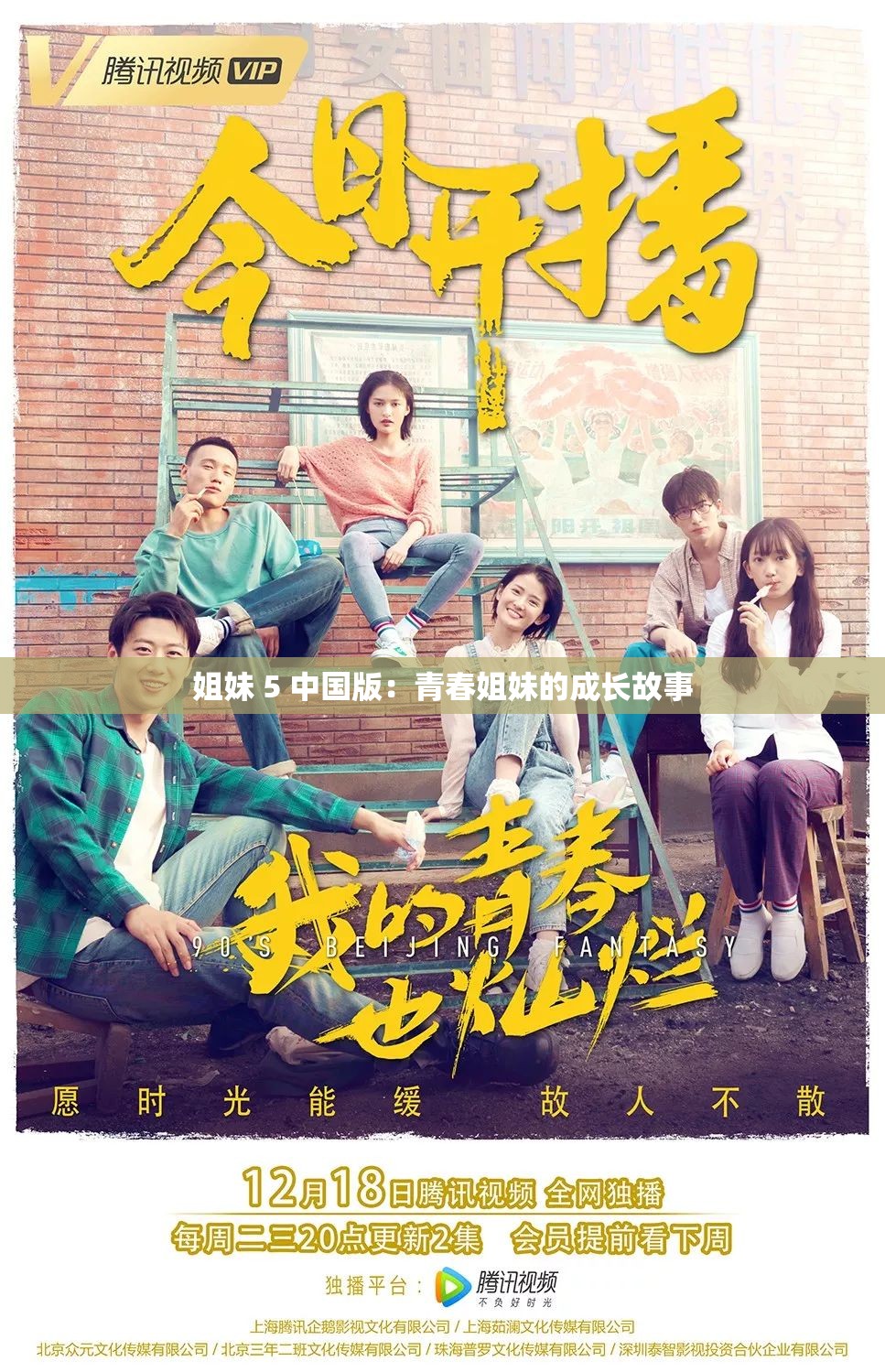 姐妹 5 中国版：青春姐妹的成长故事