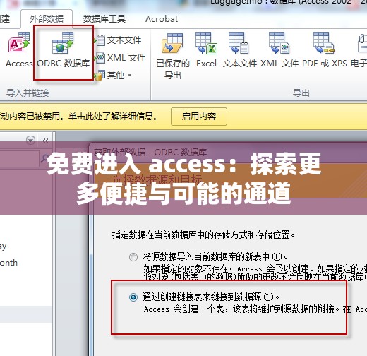 免费进入 access：探索更多便捷与可能的通道