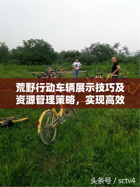 荒野行动车辆展示技巧及资源管理策略，实现高效利用与最大化车辆价值
