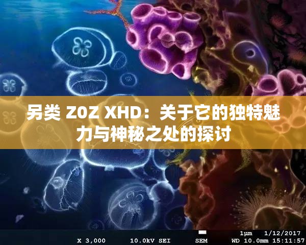 另类 Z0Z XHD：关于它的独特魅力与神秘之处的探讨