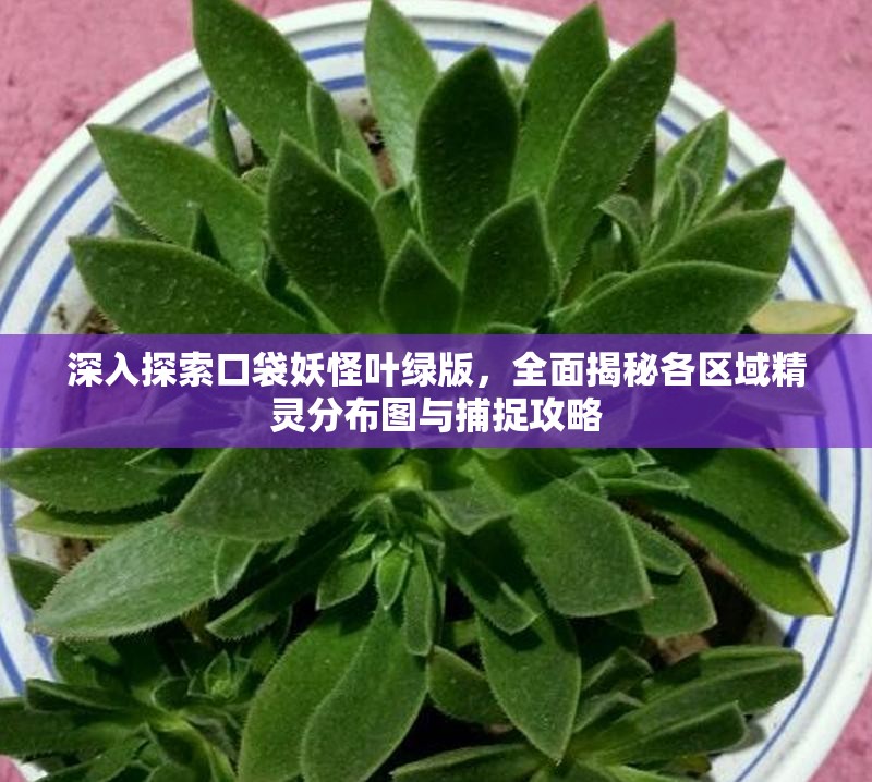 深入探索口袋妖怪叶绿版，全面揭秘各区域精灵分布图与捕捉攻略