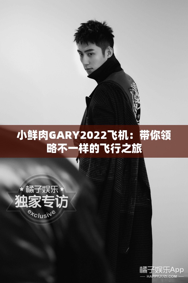 小鲜肉GARY2022飞机：带你领略不一样的飞行之旅