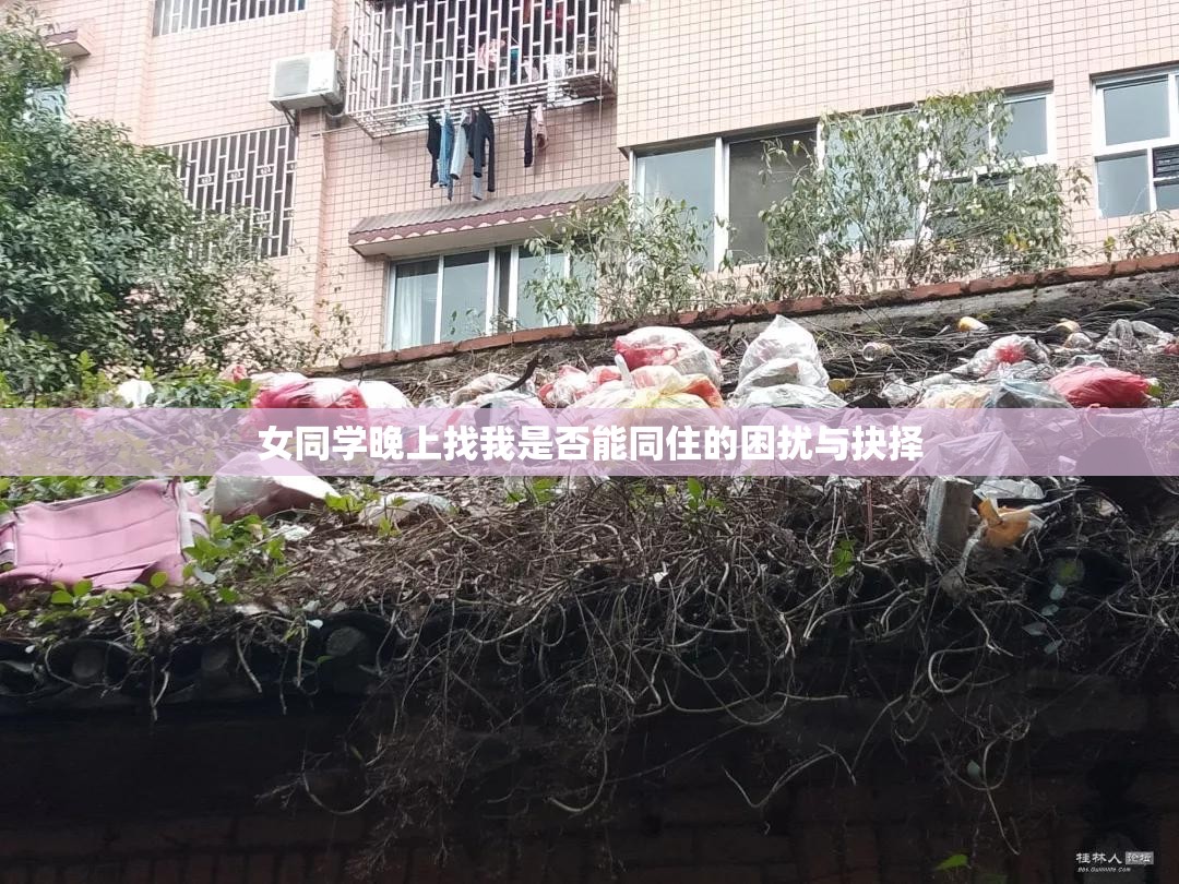 女同学晚上找我是否能同住的困扰与抉择
