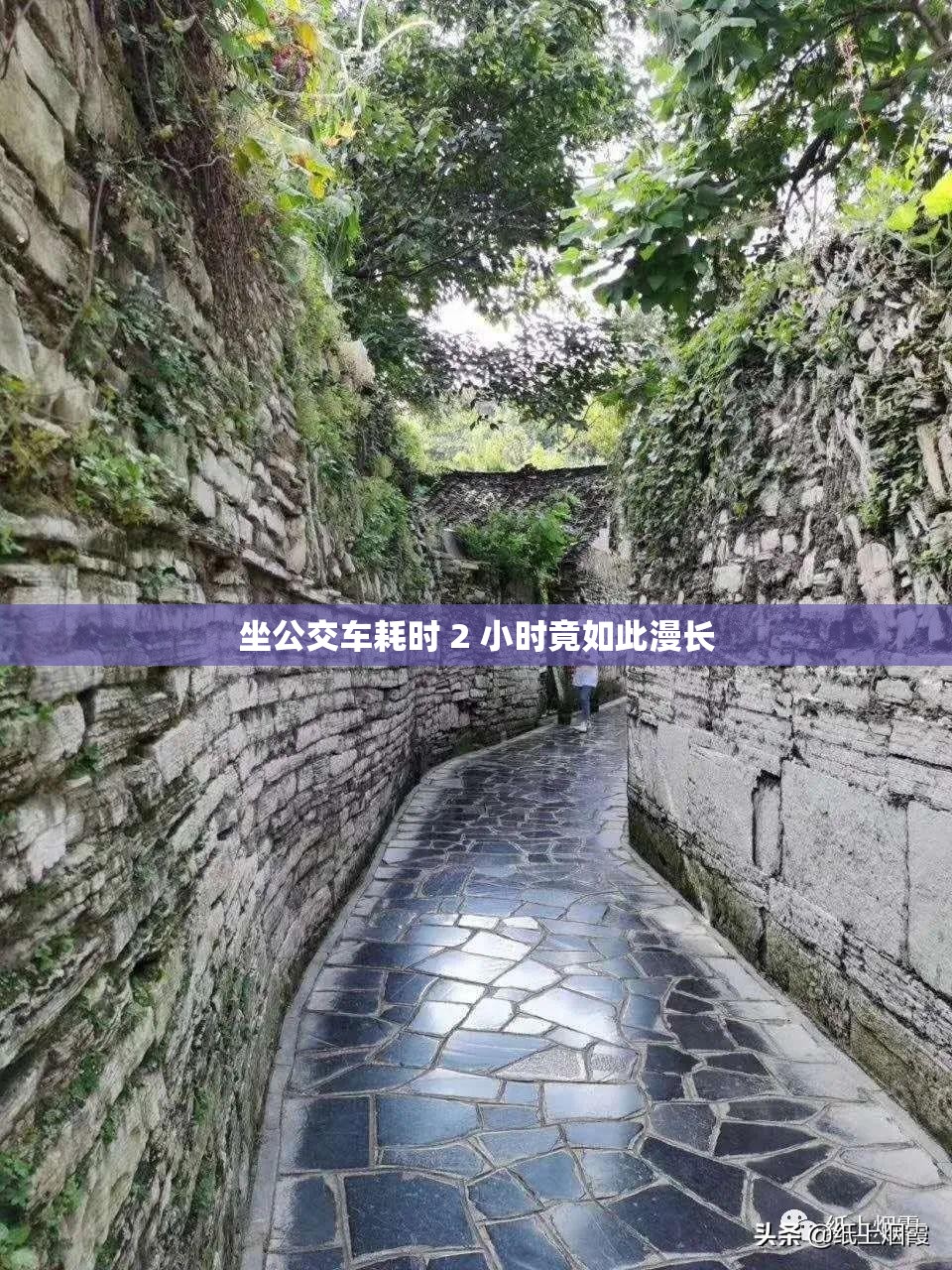 坐公交车耗时 2 小时竟如此漫长