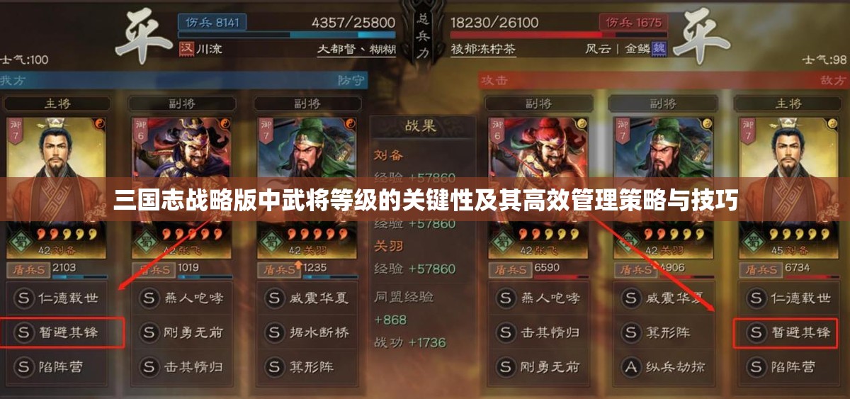 三国志战略版中武将等级的关键性及其高效管理策略与技巧