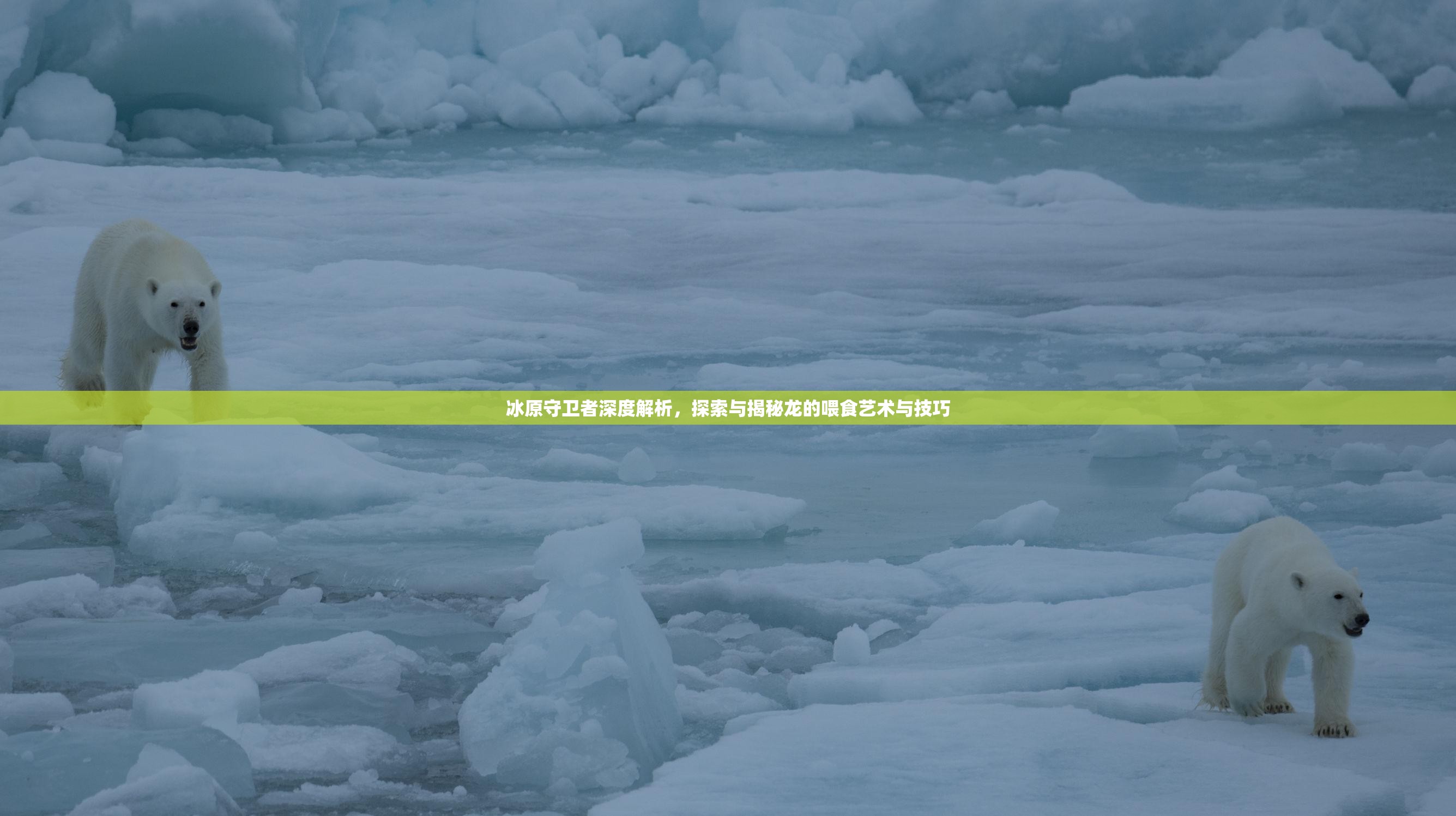 冰原守卫者深度解析，探索与揭秘龙的喂食艺术与技巧
