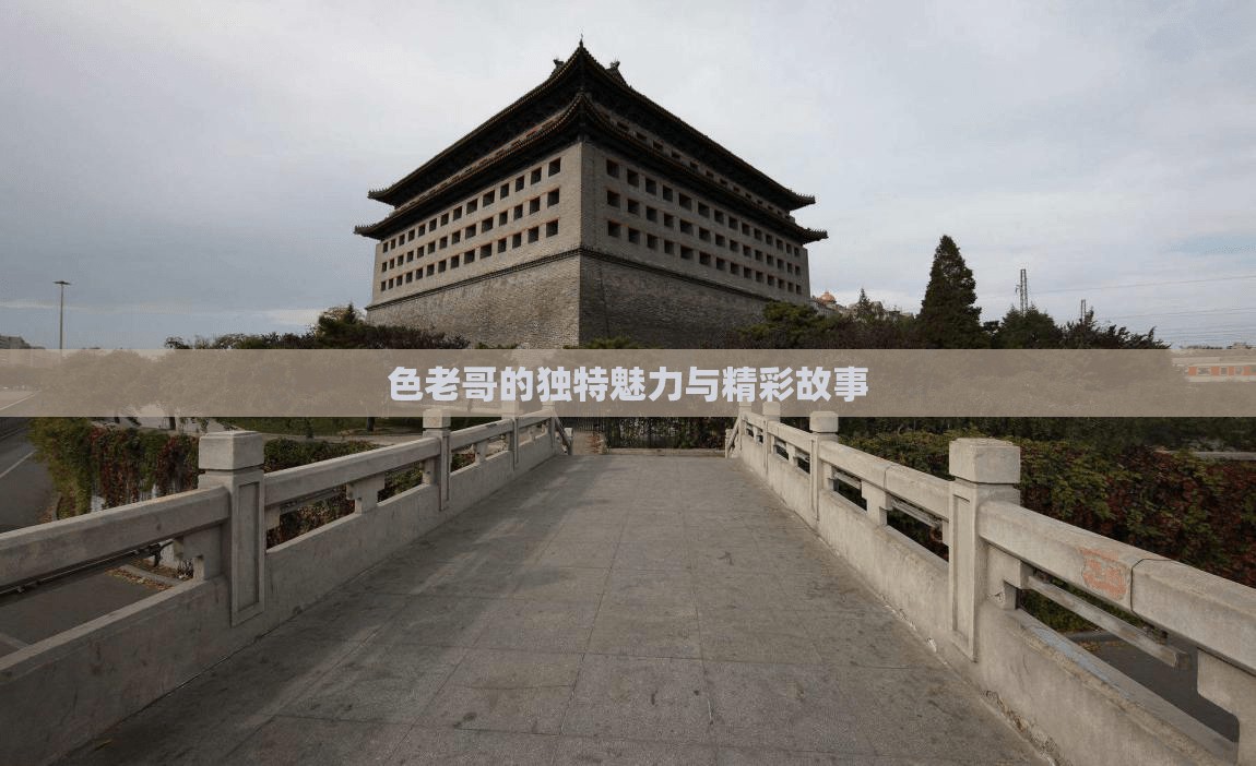色老哥的独特魅力与精彩故事
