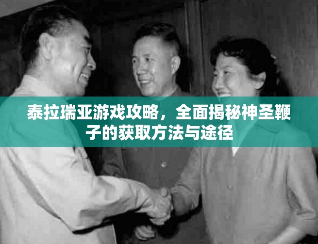 泰拉瑞亚游戏攻略，全面揭秘神圣鞭子的获取方法与途径