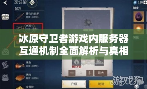 冰原守卫者游戏内服务器互通机制全面解析与真相揭秘
