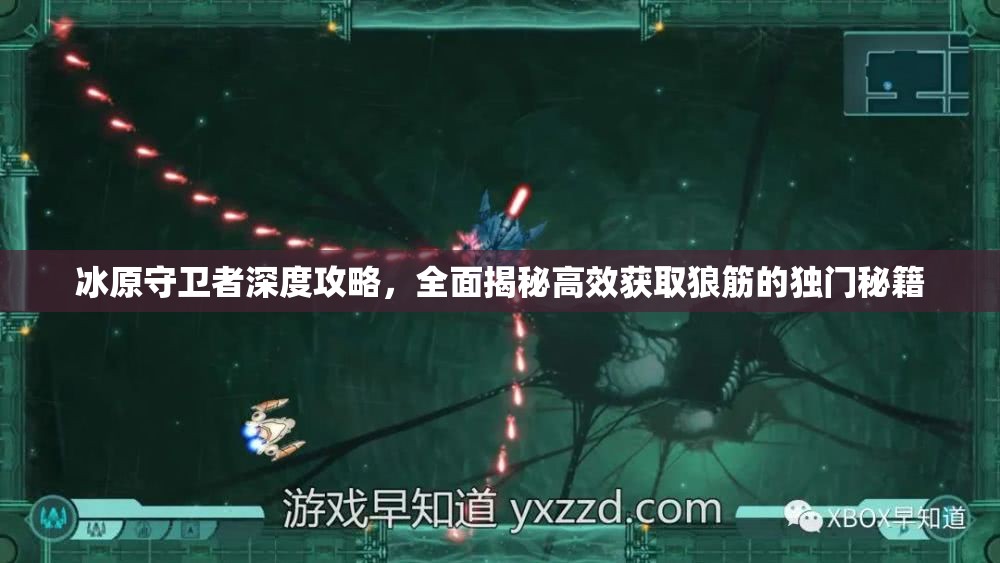 冰原守卫者深度攻略，全面揭秘高效获取狼筋的独门秘籍