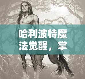 哈利波特魔法觉醒，掌握高效刷禁林策略与资源管理技巧全攻略