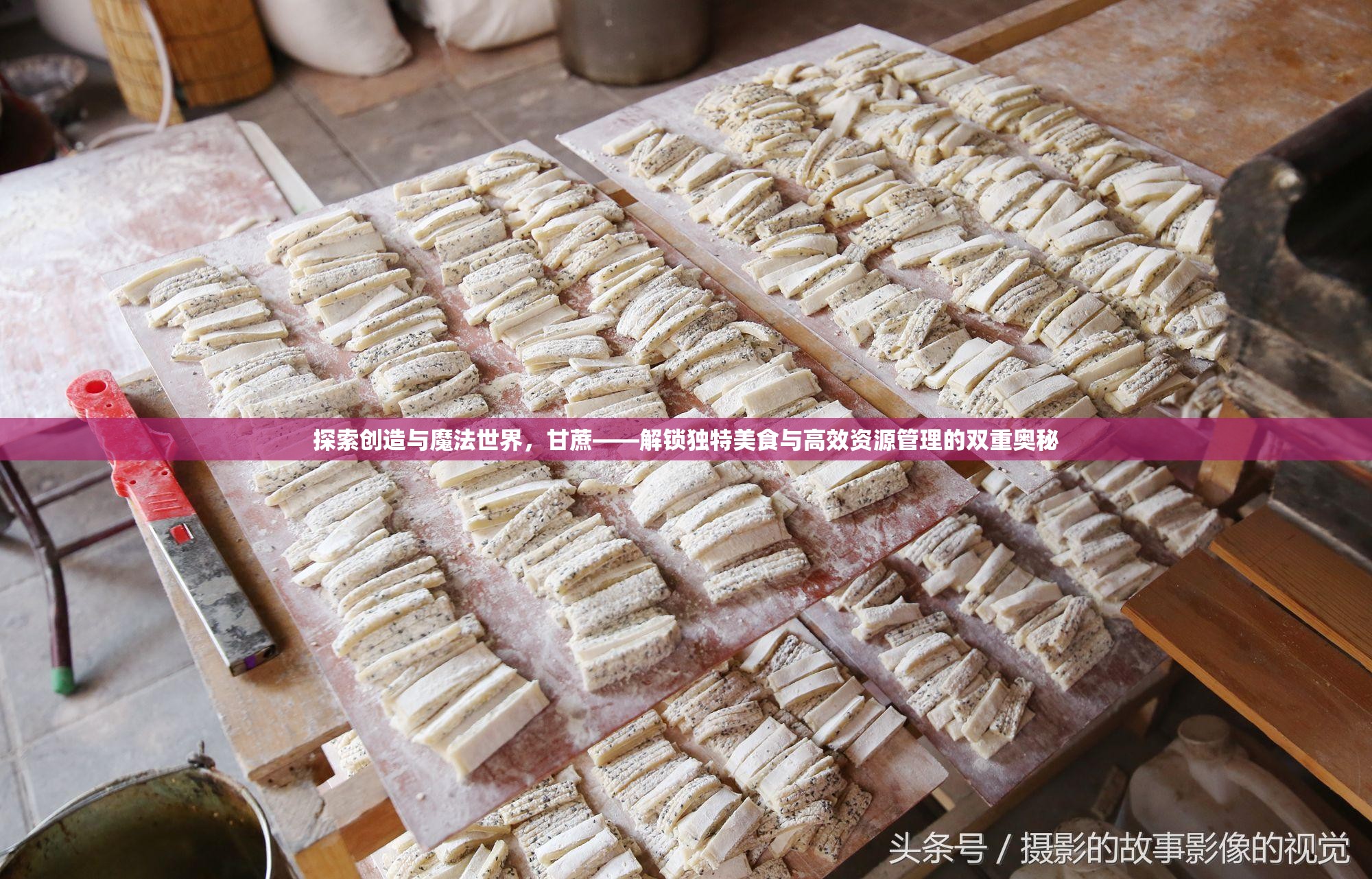 探索创造与魔法世界，甘蔗——解锁独特美食与高效资源管理的双重奥秘