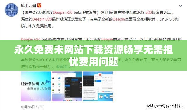 永久免费未网站下载资源畅享无需担忧费用问题