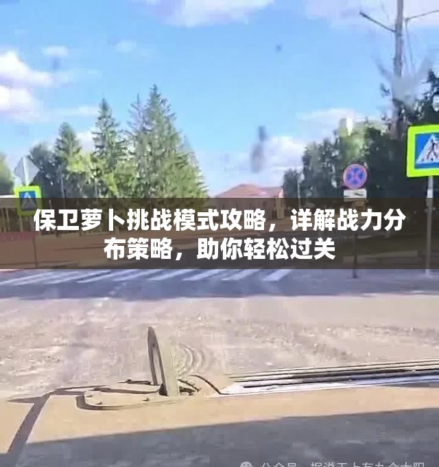 保卫萝卜挑战模式攻略，详解战力分布策略，助你轻松过关