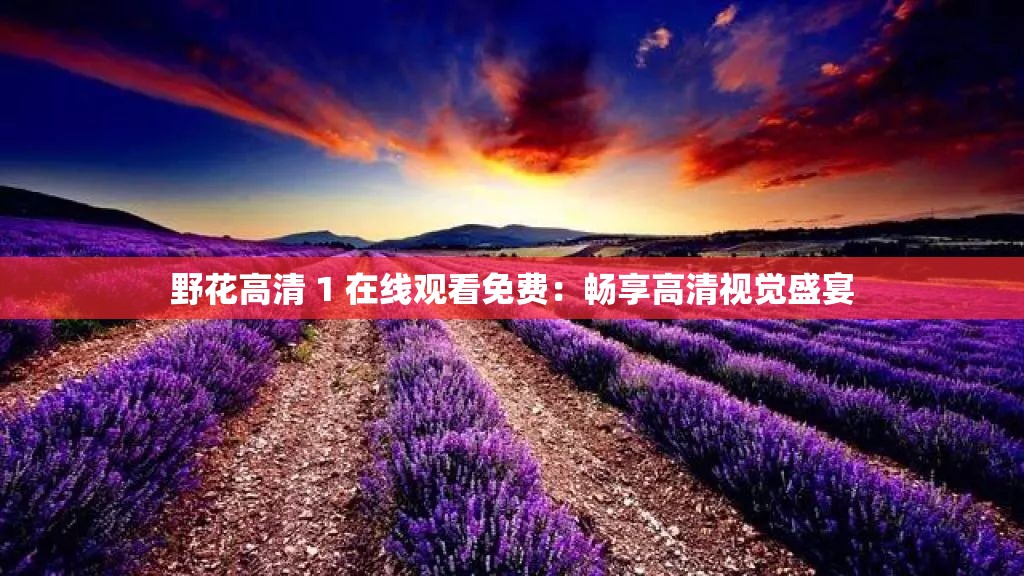 野花高清 1 在线观看免费：畅享高清视觉盛宴