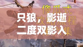 只狼，影逝二度双影入侵机制深度剖析及两次入侵奇妙差异对比