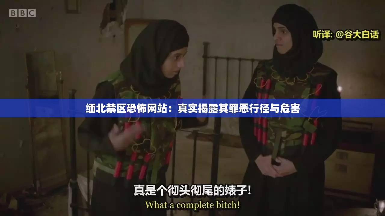 缅北禁区恐怖网站：真实揭露其罪恶行径与危害