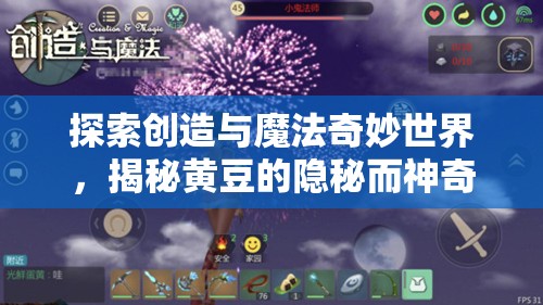 探索创造与魔法奇妙世界，揭秘黄豆的隐秘而神奇的聚集地